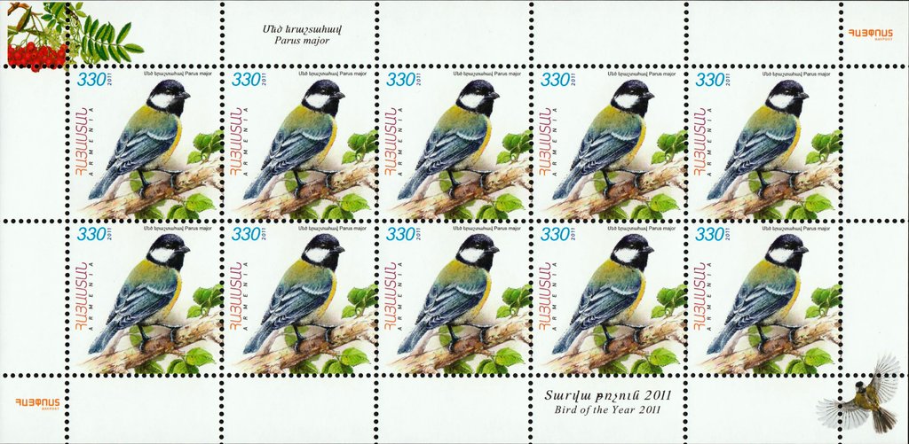 Great Tit (Parus major)