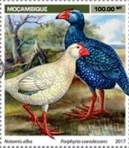 Stamp, Notornis alba, Porphyrio coerulescens, Mozambique,  , Animals (Fauna), Birds