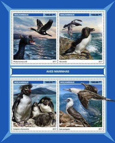 Sea birds