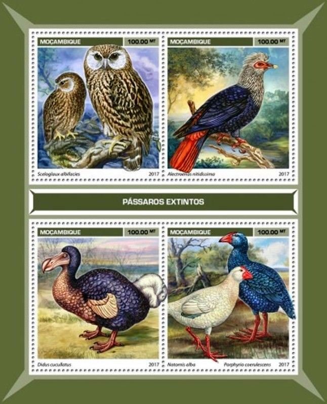 Extinct birds