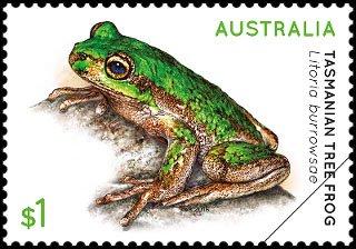Stamp, Frogs, Australia,  , Amphibians, Animals (Fauna), Frogs
