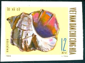 Stamp, Turban Snail (Turbo sp.), Vietnam,  , Animals (Fauna), Molluscs, Sea Life, Shells