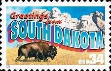 American Bison(Bison bison), Mount Rushmore