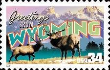 Wapiti (Cervus canadensis), Rocky Mountains