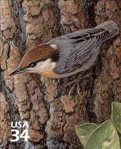 Stamp, Brown-headed Nuthatch (Sitta pusilla), United States of America,  , Birds, Animals (Fauna)