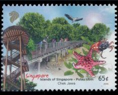 Chek Jawa