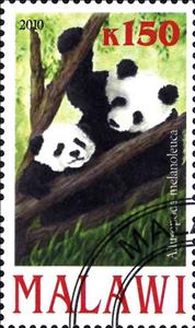 Stamp, Aitulopoda melanoleuca, Cinderellas,  , Animals (Fauna), Giant Pandas