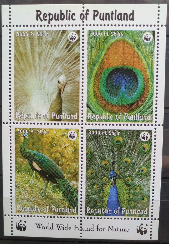Peacock