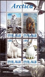 Mini Sheet, Arctica, Cinderellas,  , Animals (Fauna)