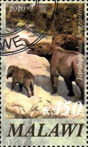 Stamp, Tetralophodon longirostris, Cinderellas,  , Animals (Fauna), Dinosaurs, Prehistorical Animals