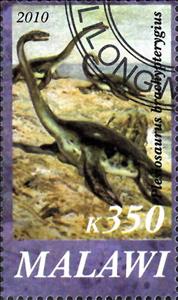 Stamp, Plesiosaurus brachypterygius, Cinderellas,  , Animals (Fauna), Dinosaurs, Prehistorical Animals