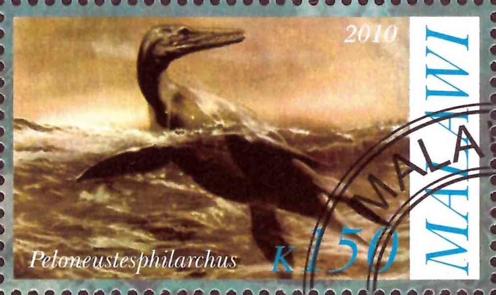 Peloneustesphilarchus