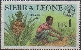 Stamp, Men tending pineapple plants, Sierra Leone,  , Plants (Flora)
