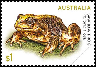 Frogs