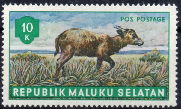 Fauna Resmi