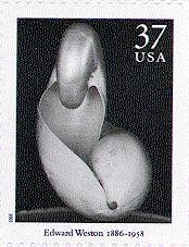 Stamp, Two Shells, United States of America,  , Photographs