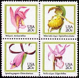 Orchids