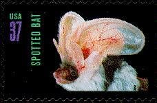Stamp, Spotted Bat (Enderma maculatum), United States of America,  