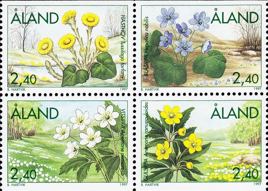 Spring flowers