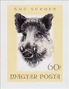 Stamp, Wild Boar (Sus scrofa), Hungary,  , Animals (Fauna), Hunting, Mammals, Pigs