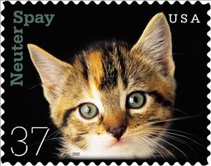 Stamp, Cat (Felis silvestris catus) - Kitten, United States of America,  , Mammals, Cats, Animals (Fauna)