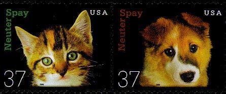 Dog (Canis lupus familiaris), Cat (Felis silvestris catus)
