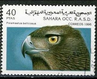 Birds Of Prey