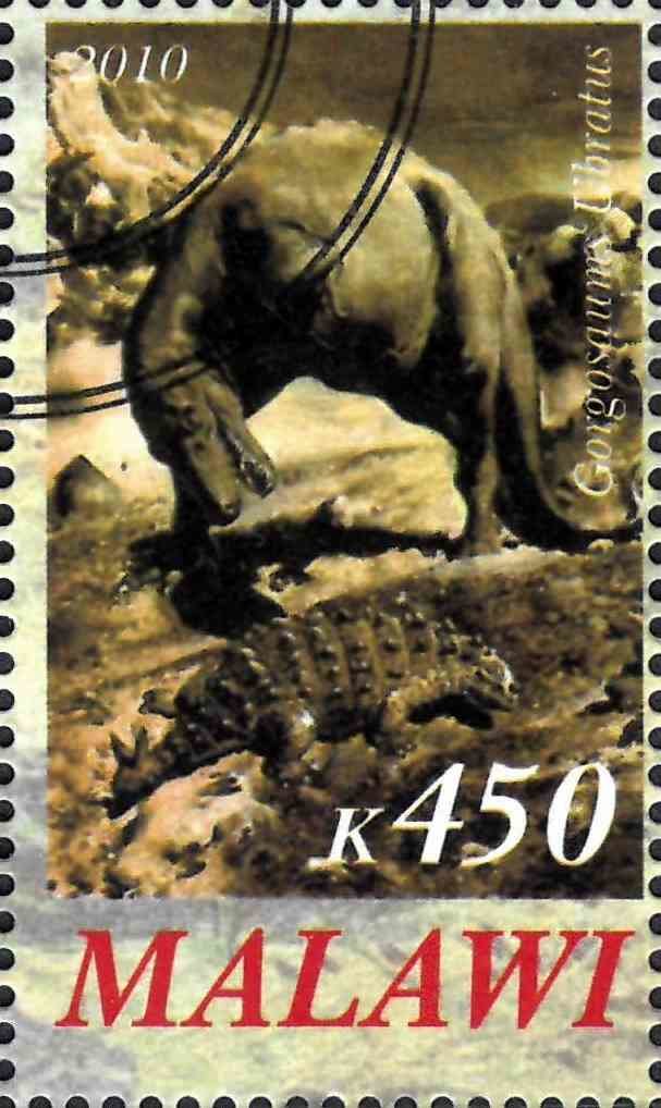 Gorgosaums Ubratus