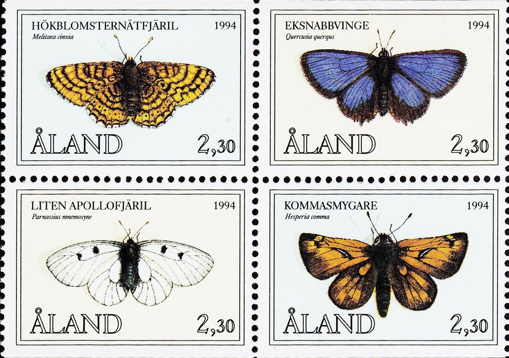 Butterflies