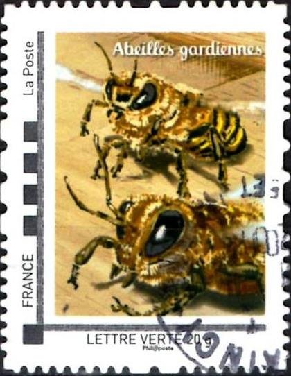 The bees that's life