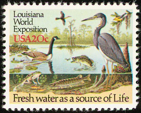 Lake with different Animals