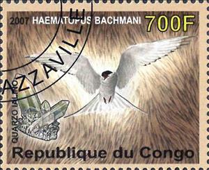 Stamp, Haematopus bachmani / Quarzo ialino, Cinderellas,  , Animals (Fauna), Birds, Minerals
