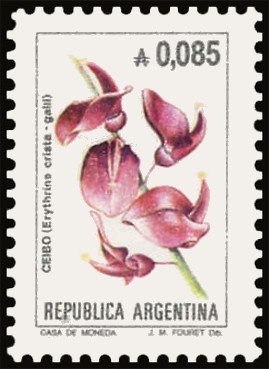 Ceibo (Erythrina crista-galli)