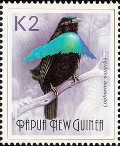 Stamp, Superb Bird-of-paradise (Lophorina superba), Papua New Guinea,  , Animals (Fauna), Birds