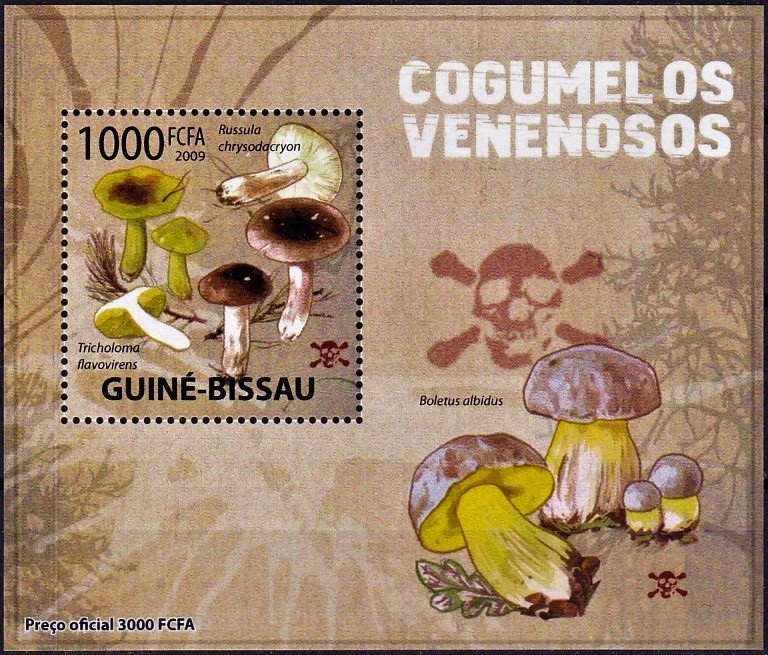 Tricholoma flavovirens/Russula chrysodacryon