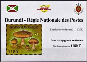 Mini Sheet, Entoloma sinuatum, Cinderellas,  , Mushrooms