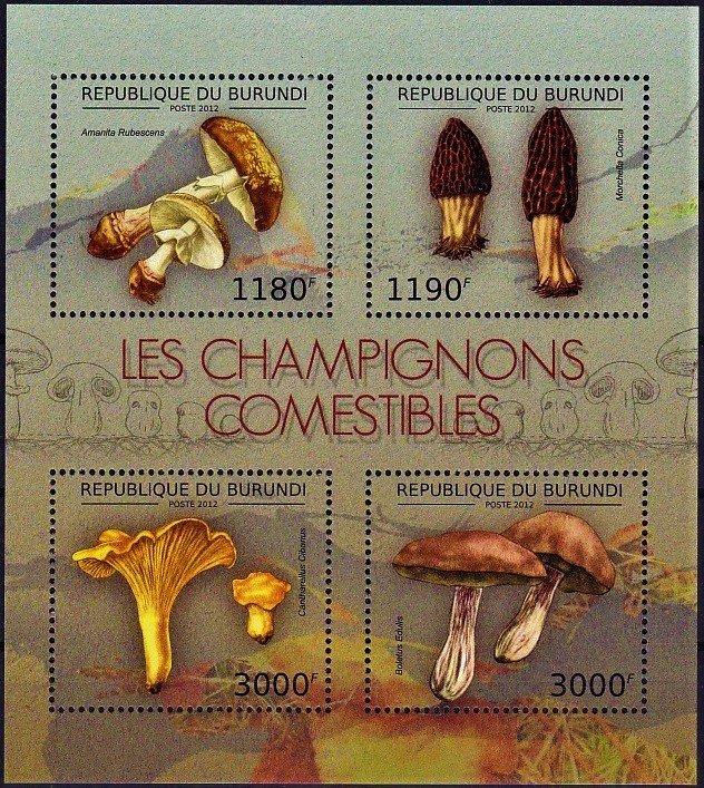 Various Mushrooms
