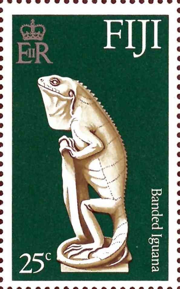 Banded Iguana