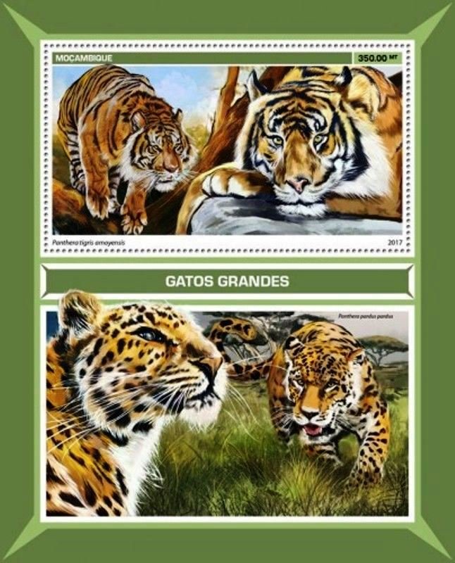 Panthera tigris amoyensis