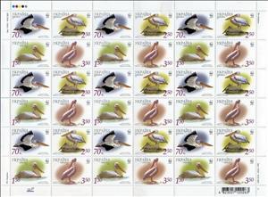 Mini Sheet, Great White Pelican (Pelecanus onocrotalus), Ukraine,  