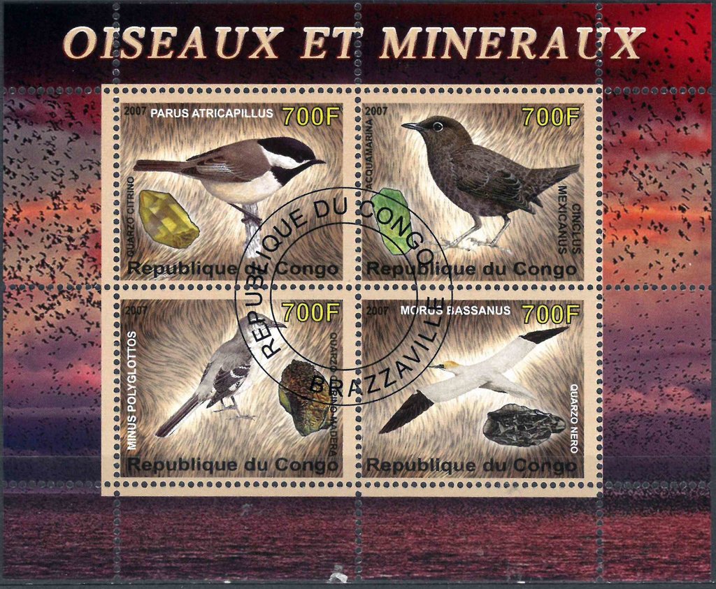 Birds and Minerals