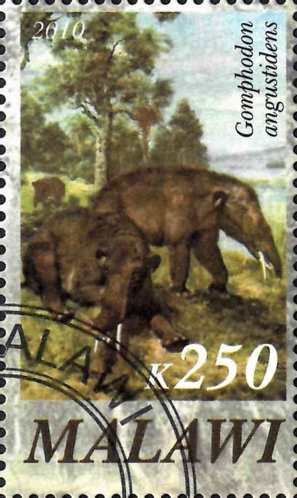 Gomphodon angustidens