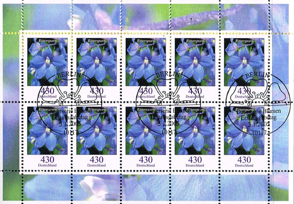 Consolida regalis - Field Larkspur