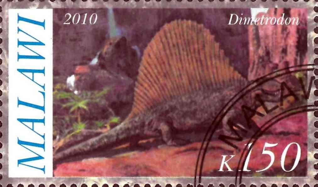 Dimetrodon