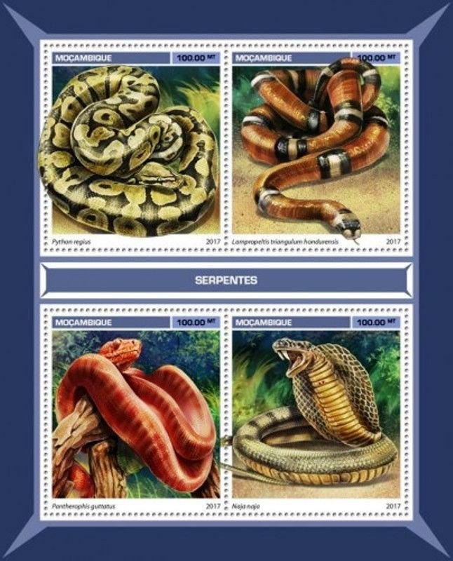 Snakes