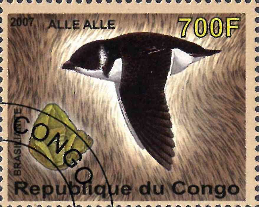 Alle alle / Brasilianite
