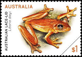 Frogs