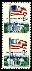Flag and White House