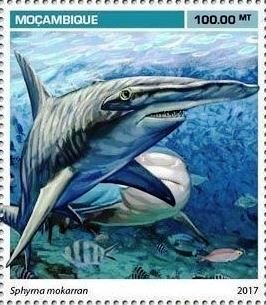 Stamp, Sphyrma mokarran, Mozambique,  , Animals (Fauna), Sharks