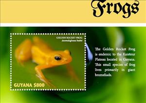 Souvenir Sheet, Frogs, Guyana,  , Amphibians, Animals (Fauna), Frogs
